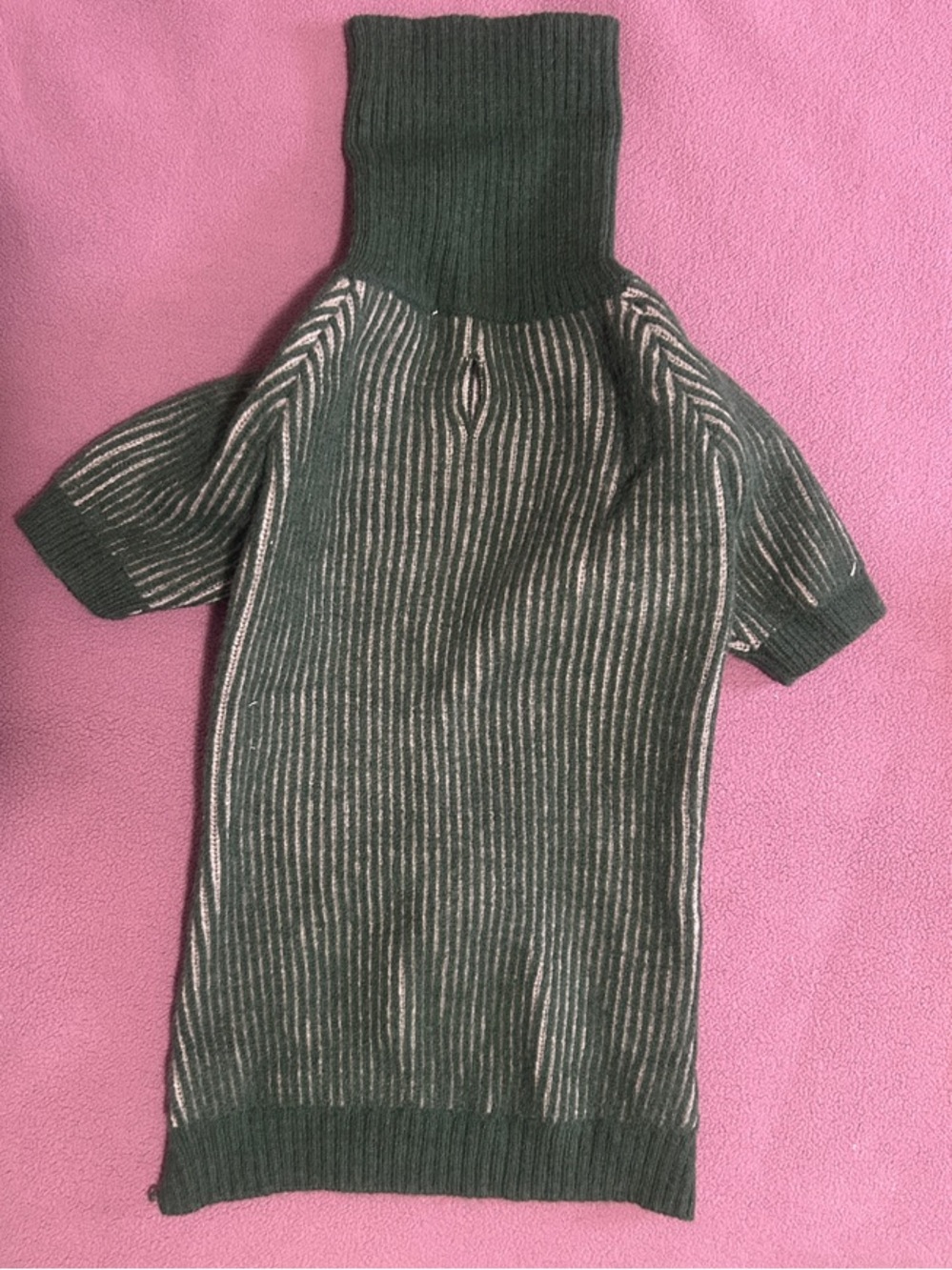 XL Ribbed Turtleneck Dog Sweater in Hunter Green